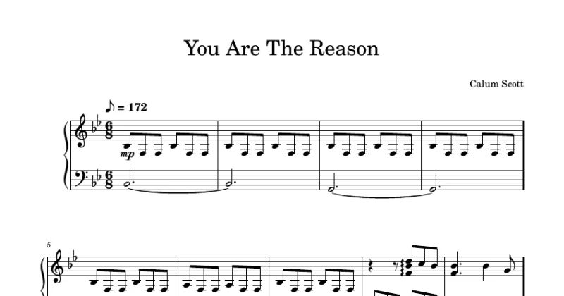 You Are The Reason - Calum Scott
