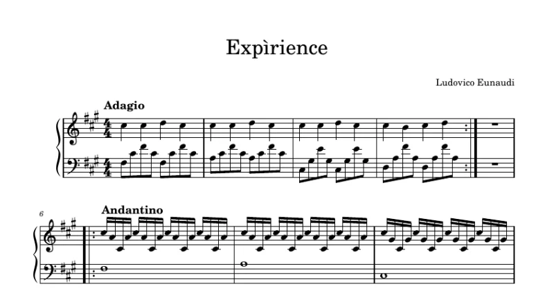 Experience