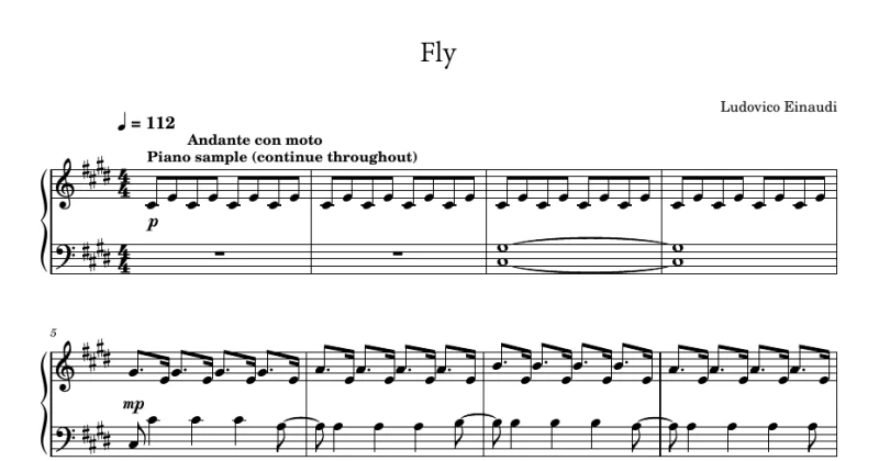 Fly - The Intouchables - Ludovico Einaudi