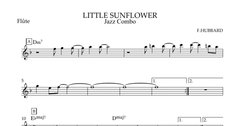little sun flower